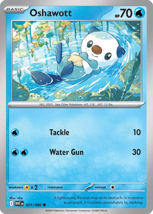 white21.png