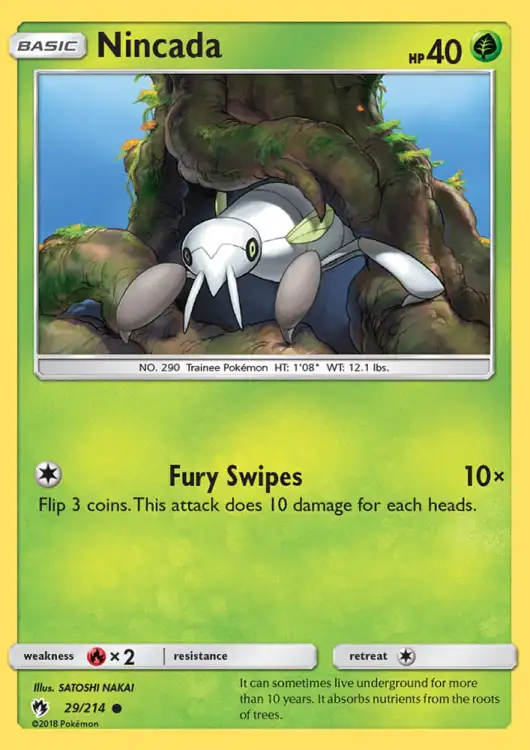 lot029.png