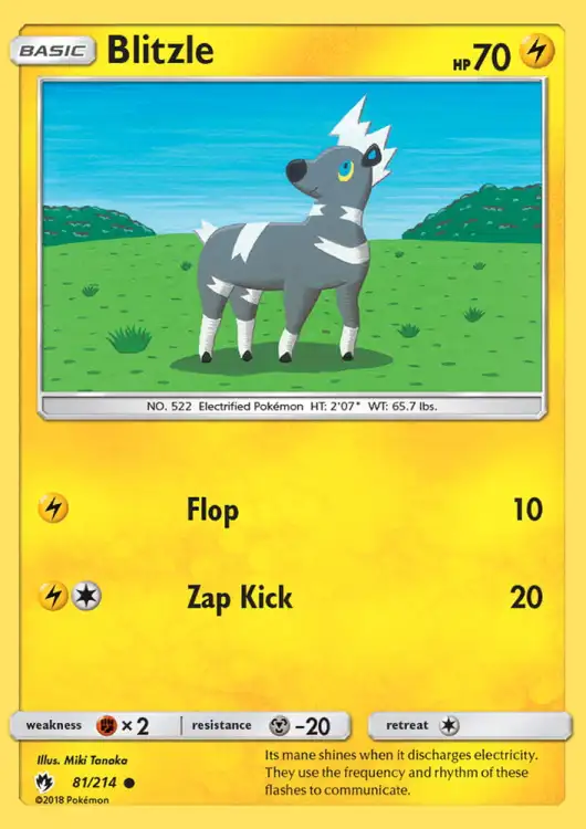 lot081.png